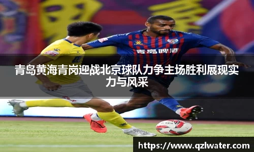 VSport官网入口vsport体育在线官网