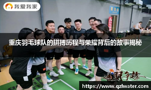 VSport官网入口vsport体育在线官网