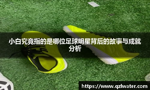 VSport官网入口vsport体育在线官网
